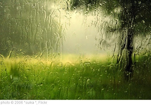 'Rain 2' photo (c) 2006, *suika * - license: https://creativecommons.org/licenses/by/2.0/