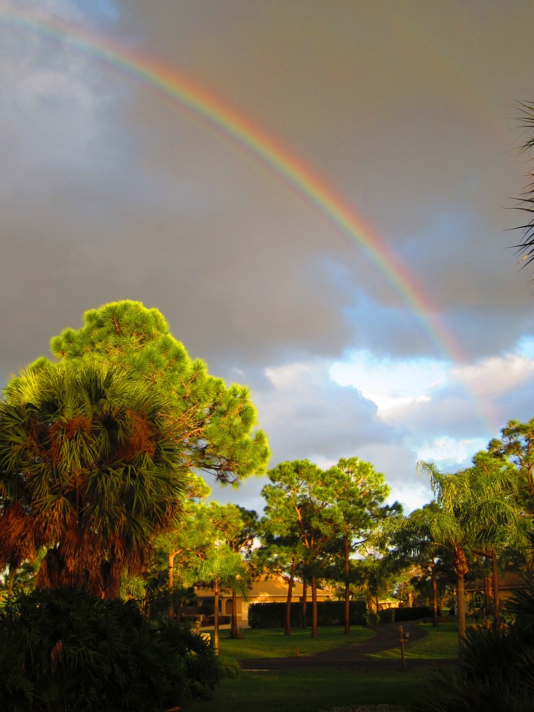 rainbow3