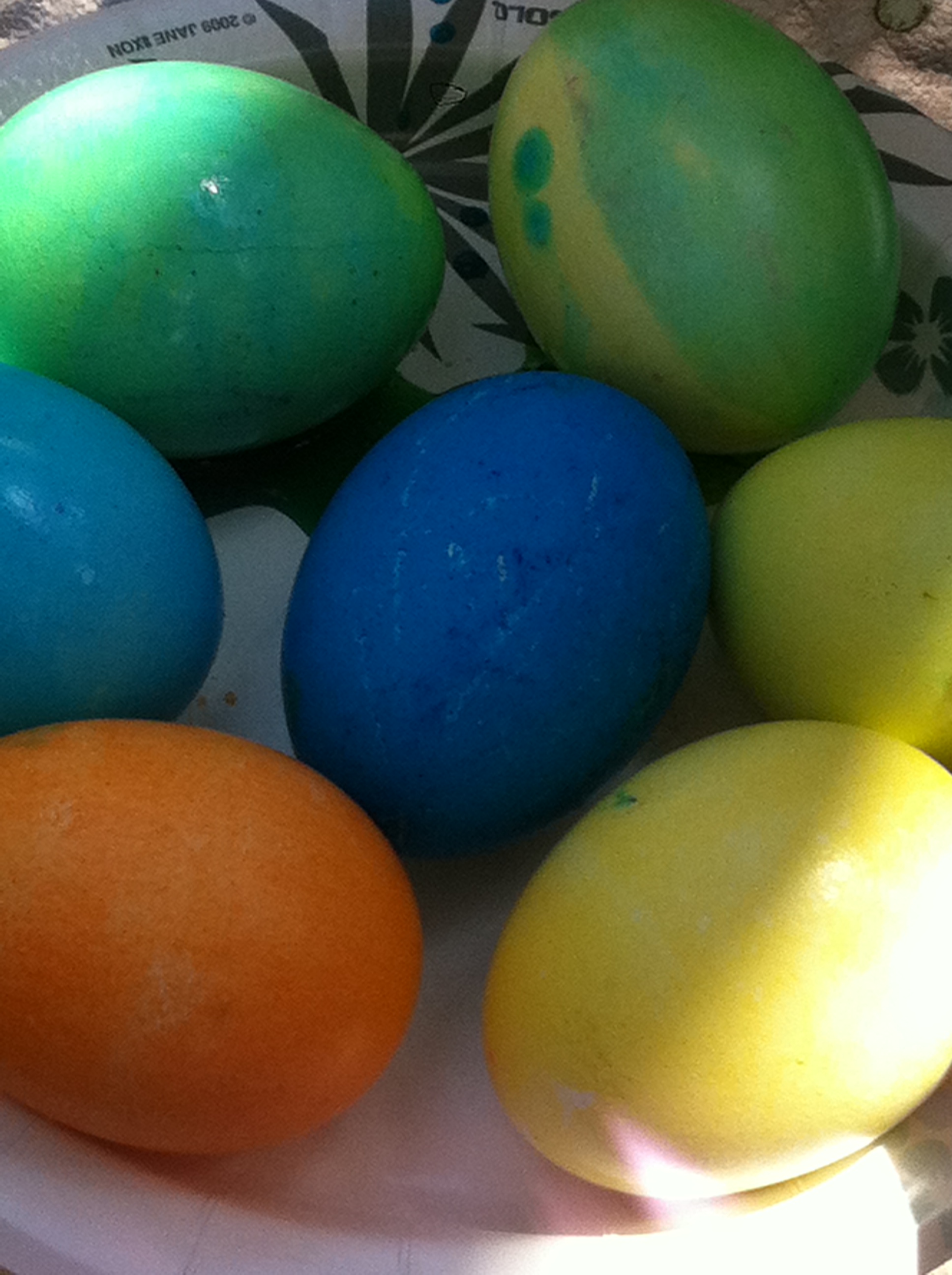 eggs