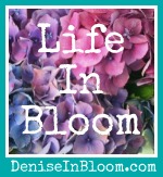 Life In Bloom