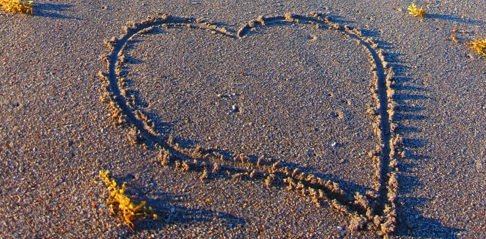 heart4