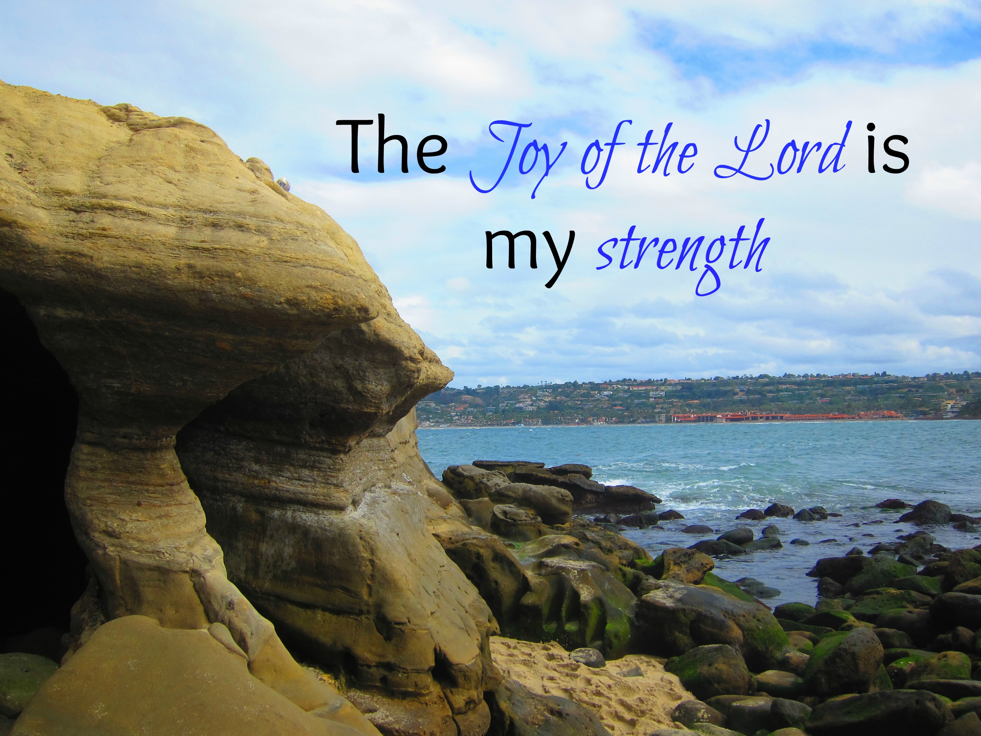 Joy of the Lord
