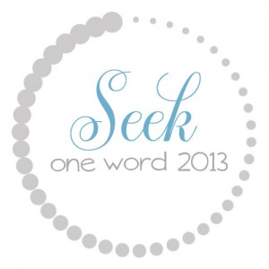 OneWord2013_Seek
